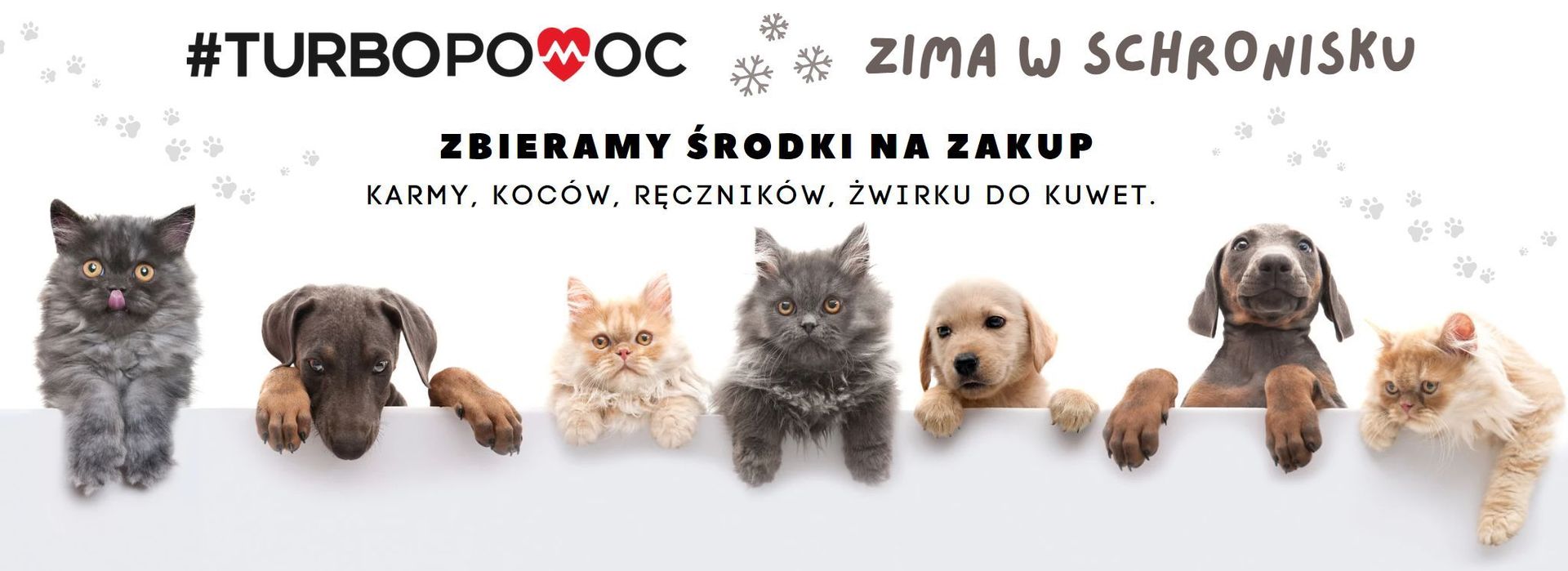 Zima w schronisku